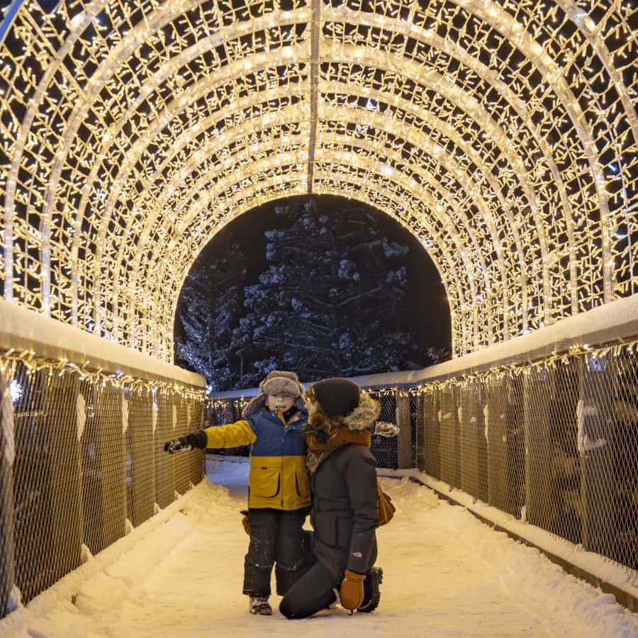 Mont-Tremblant: Treetop Observatory and Self-Guided Walk - Key things you’ll notice right away