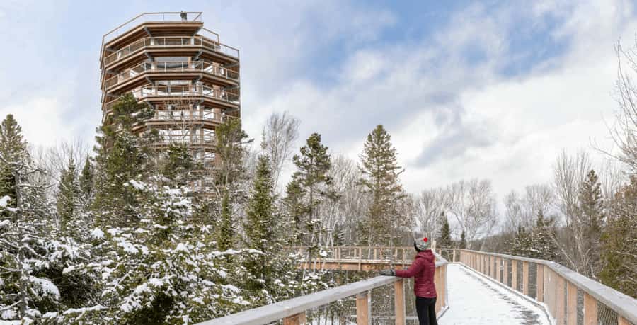 Mont-Tremblant: Treetop Observatory and Self-Guided Walk - Treetop Walk basics: what this really is (and why it’s worth your time)