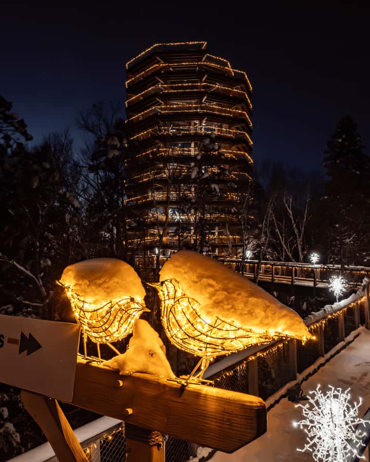 Mont-Tremblant: Treetop Observatory and Self-Guided Walk - The site itself: former fish hatchery grounds and where to eat