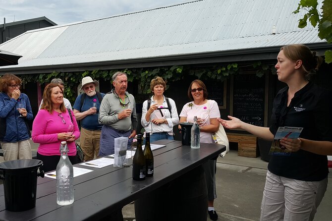Morning Guided with Afternoon Self-Guided Biking Wine Tour - Cycling the flat route: how to enjoy the ride without overthinking it