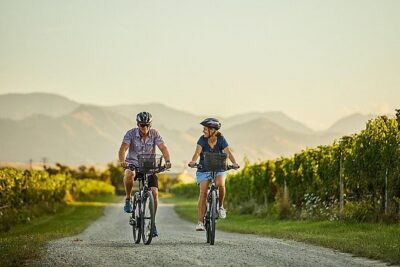 Morning Guided with Afternoon Self-Guided Biking Wine Tour - Three guided winery tastings: what you’re really paying for