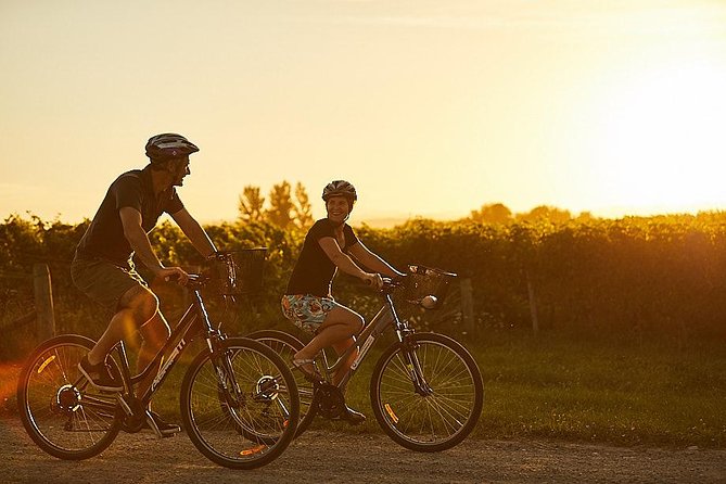 Morning Guided with Afternoon Self-Guided Biking Wine Tour - Price and logistics: why $117.91 can feel like a smart deal