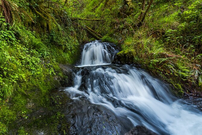 Mount Hood Loop Scenic Drive Self Guided Audio Tour - Bonneville Dam, the Pacific Crest Trail, and Starvation Creek: Scenic With Context