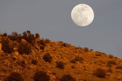 Mount Lemmon Self-Guided Driving Audio Tour - Price and Value: $16.99 Per Group That Covers One Car