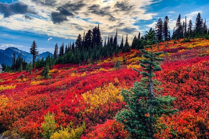 Mount Rainier National Park Self-Guided Audio Tour - Key Highlights You’ll Feel During the Drive
