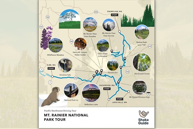 Mount Rainier National Park Self-Guided Audio Tour - Lakes, Views, and the Big Hike Shortcuts: Reflection Lakes, Bench Lake, Box Canyon