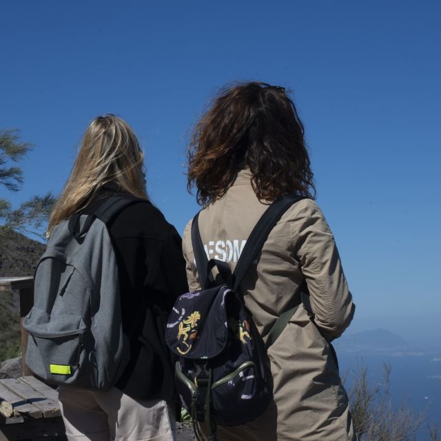 Mount Vesuvius: Skip-the-Line Ticket and Smart Digital Guide - Skip-the-Line Entry and Smart Audio: What You’re Actually Paying For