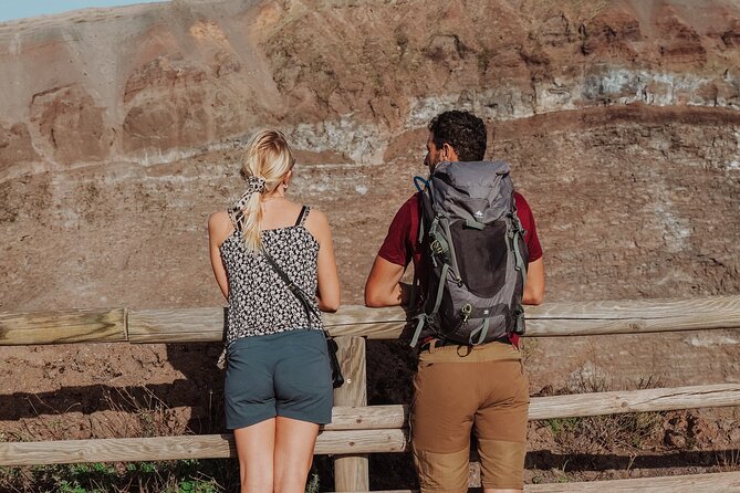 Mount Vesuvius Skip the Line Ticket + Multilingual Audio Guide - Key Highlights to Know Before You Go