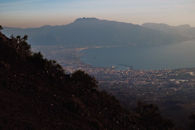 Mount Vesuvius Skip the Line Ticket + Multilingual Audio Guide - Before You Go: Timing, Ticket Screenshots, and No-Service Reality