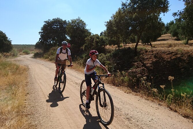 MTB (Self-Guided) Setenil de las Bodegas - 30km Easy - Ronda to Setenil: the Easy Ride That Still Feels Like You Earned It