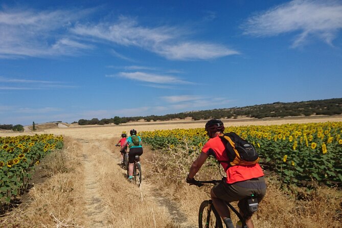 MTB (Self-Guided) Setenil de las Bodegas - 30km Easy - Guided Option: When Wayne and Heather Turn a Ride into a Smooth Day
