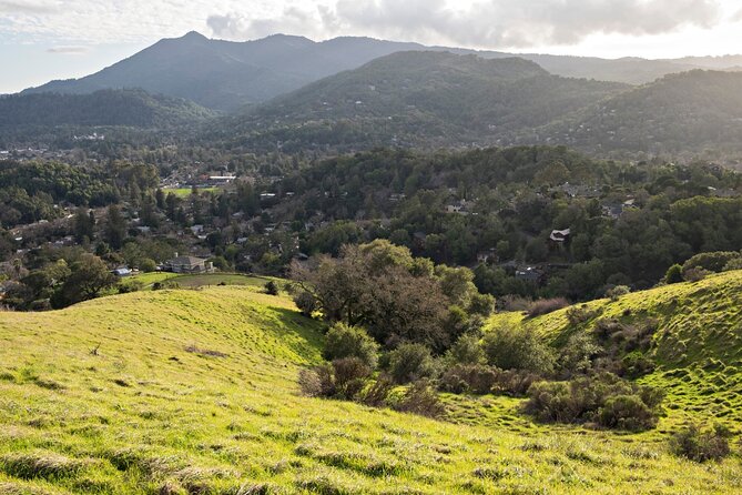 Muir Woods Self-Guided Driving and Walking Audio Tour - The wooden archway and your finish at the Visitor Center