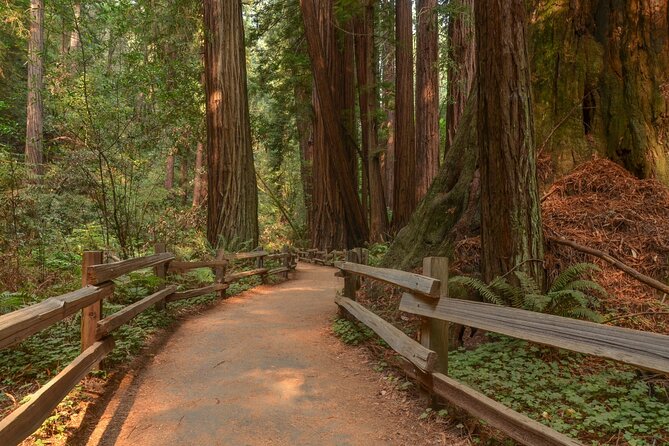 Muir Woods Self-Guided Driving and Walking Audio Tour - Offline maps, no reception, and how to avoid a dead phone day