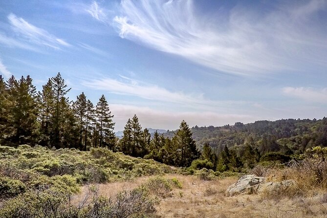 Muir Woods Self-Guided Driving and Walking Audio Tour - Car audio setup and a walking-friendly audio plan
