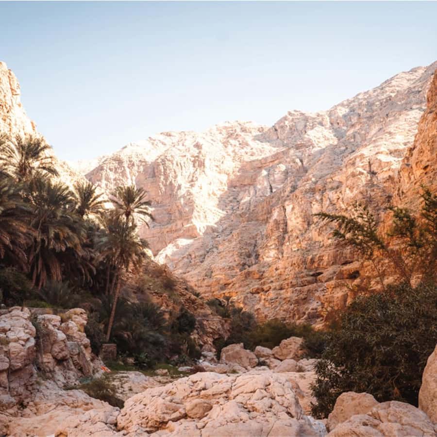 Muscat: Southern Treasures & Wadi Shab Tour with Audio Guide - Who this tour fits best (and who should skip it)