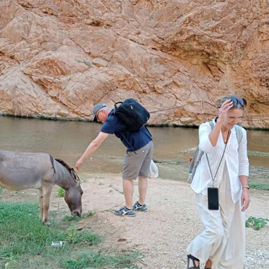 Muscat: Southern Treasures & Wadi Shab Tour with Audio Guide - Price and value: why $83 can be a fair deal