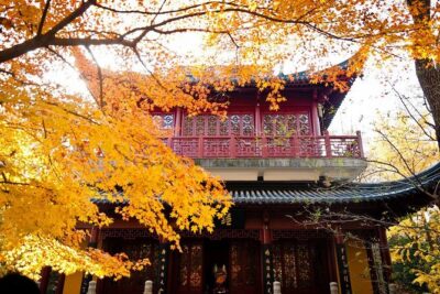 Nanjing Self-Guided Day Tour with Private Car and Driver Service - Price and value: $71.50 per person for a private car day