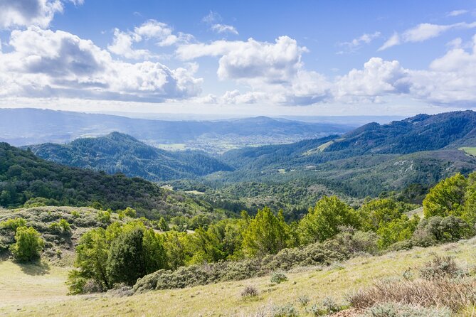 Napa Valley & Sonoma Self-Guided Audio Driving Tour - Kenwood, a 1920 chateau, and the people behind the vineyards