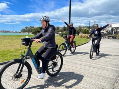 Napier: Cruise Self-Guided Cycle Ride to Winery - Half Day - Getting from your cruise to the bikes: follow the green flags
