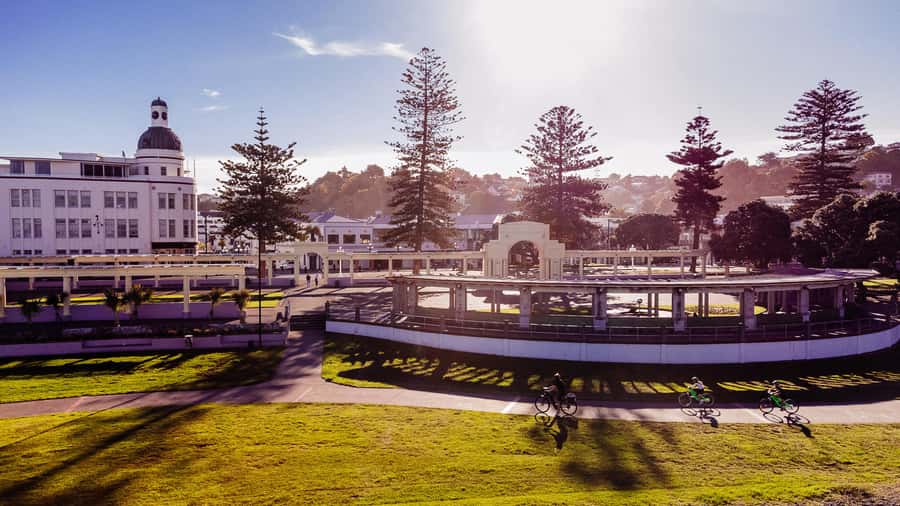 Napier: Cruise Self-Guided Cycle Ride to Winery - Half Day - Who this ride is best for (and who should skip it)