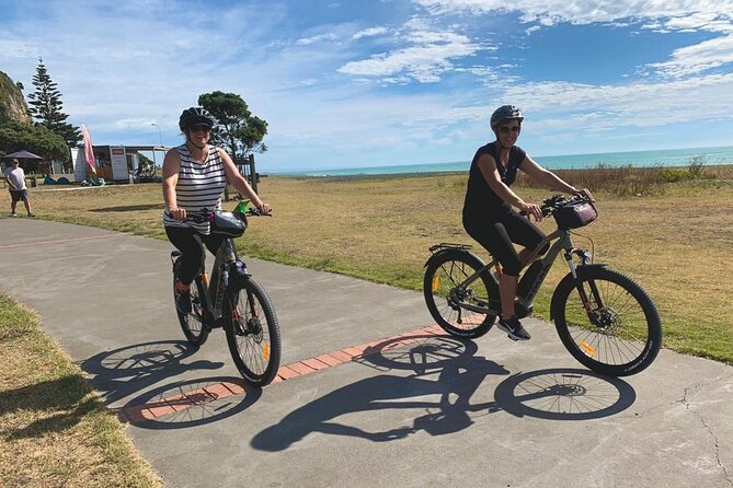 Napier: Cycle to Wineries - Half Day, self-guided - E-bikes, panniers, and that one bump-related risk