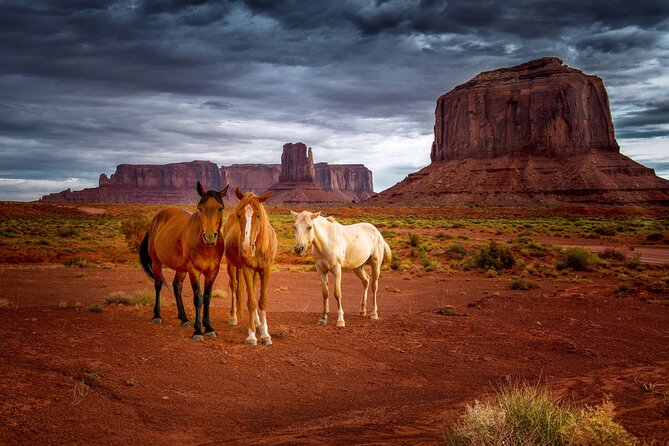 Navajo Tribal Park Monument Valley Self-Guided Driving Tour - Price and value: why $24.99 per car can be the smartest part of your day