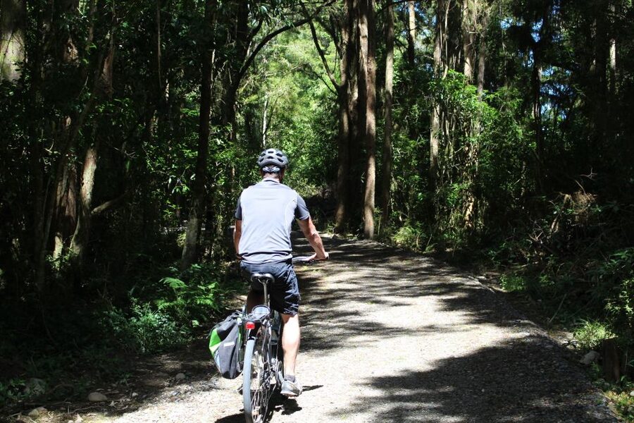Nelson: Self-Guided Tunnel to Town Cycling Tour via Mapua - Who should book this Nelson tunnel-to-town ride