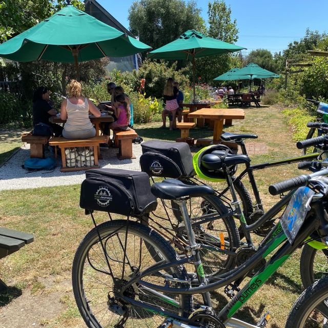 Nelson: Self-Guided Tunnel to Town Cycling Tour via Mapua - Nelson i-SITE setup: where your day actually starts