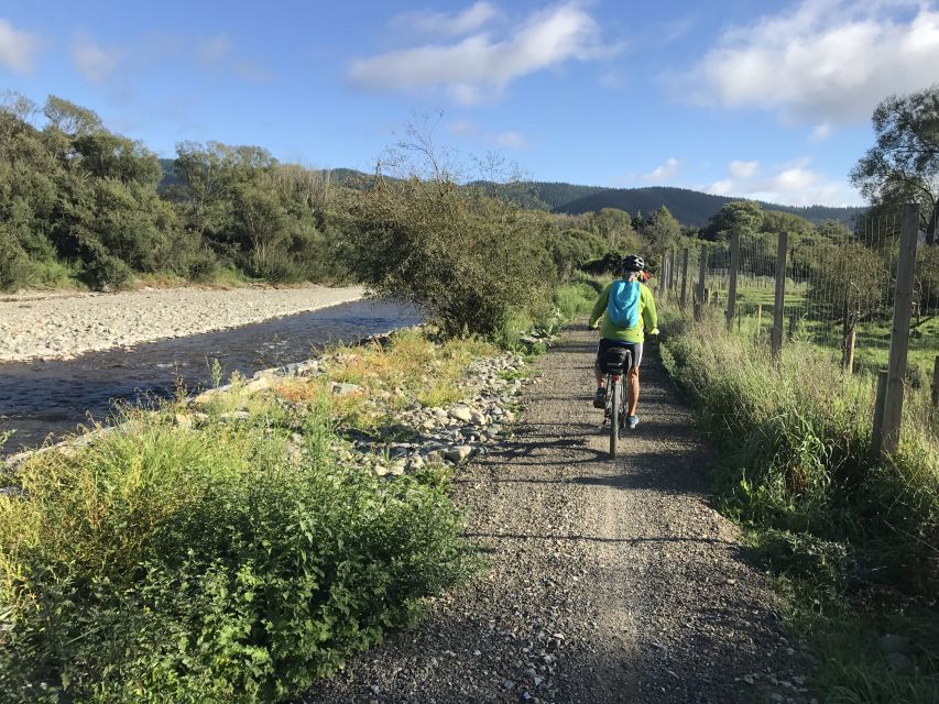 Nelson: Self-Guided Tunnel to Town Cycling Tour via Mapua - The Richmond fueling plan: café lunch, Te-Mania tasting, berry ice cream