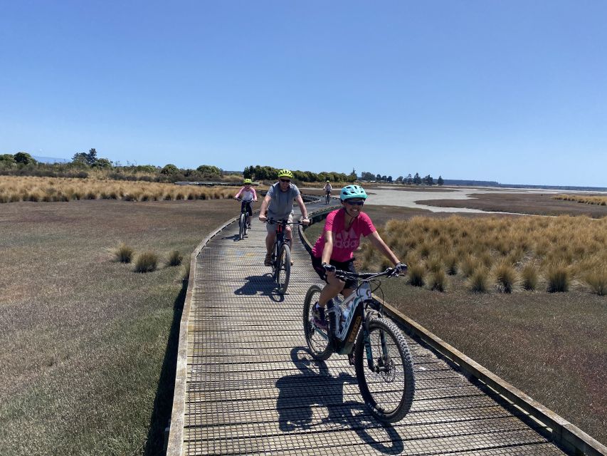 Nelson: Self-Guided Tunnel to Town Cycling Tour via Mapua - Richmond to Mapua along the Waimea Estuary: views with real wildlife