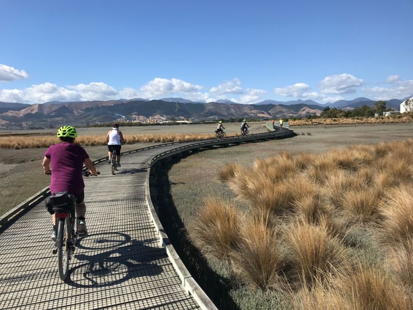 Nelson: Self-Guided Tunnel to Town Cycling Tour via Mapua - Price and value: what $93 buys you for a full day