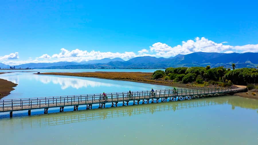 Nelson to Mapua: Full-Day Cycling Self-Guided Adventure - Key things to know before you go