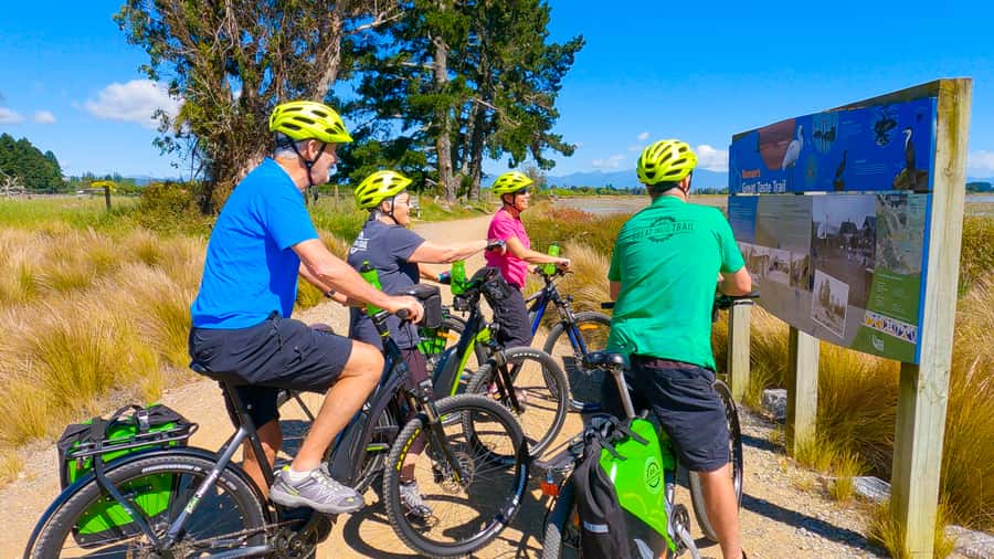 Nelson to Mapua: Full-Day Cycling Self-Guided Adventure - Following the Great Taste Trail: Nelson city to Mapua’s first big vibe