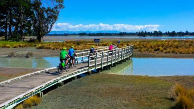 Nelson to Mapua: Full-Day Cycling Self-Guided Adventure - Getting set up in Nelson: bike fit, briefing, and trail tools