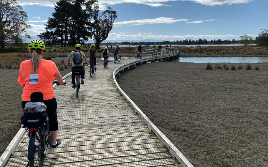 Nelson to Mapua: Full-Day Cycling Self-Guided Adventure - Waimea Swing Bridge: the photo moment you cycle into