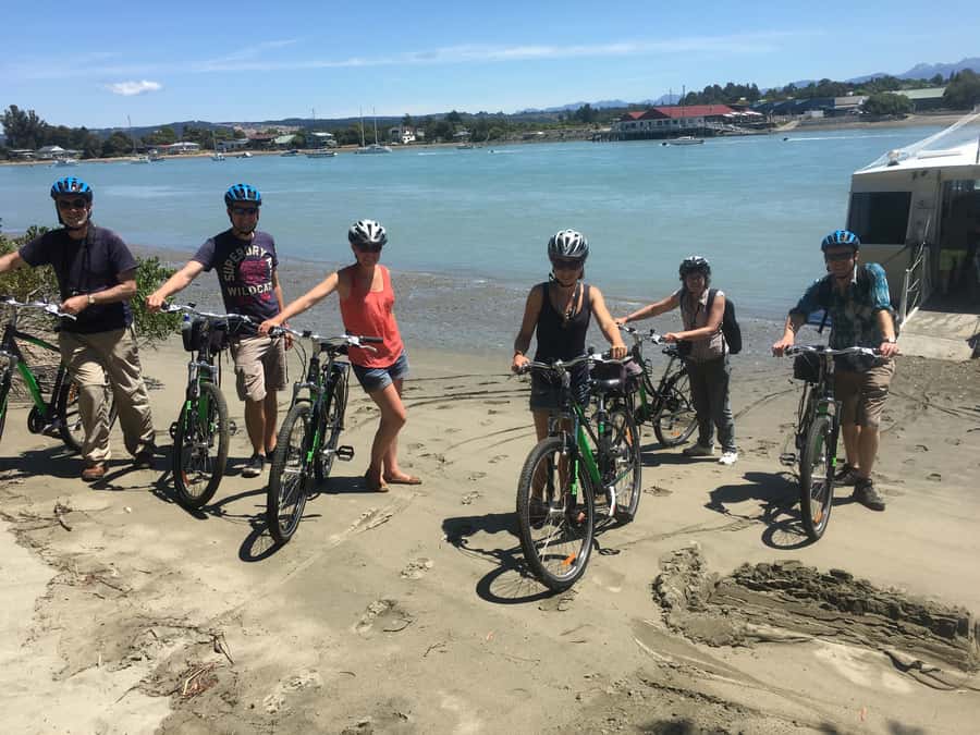 Nelson to Mapua: Full-Day Cycling Self-Guided Adventure - Rabbit Island: swim options and channel-time relaxation