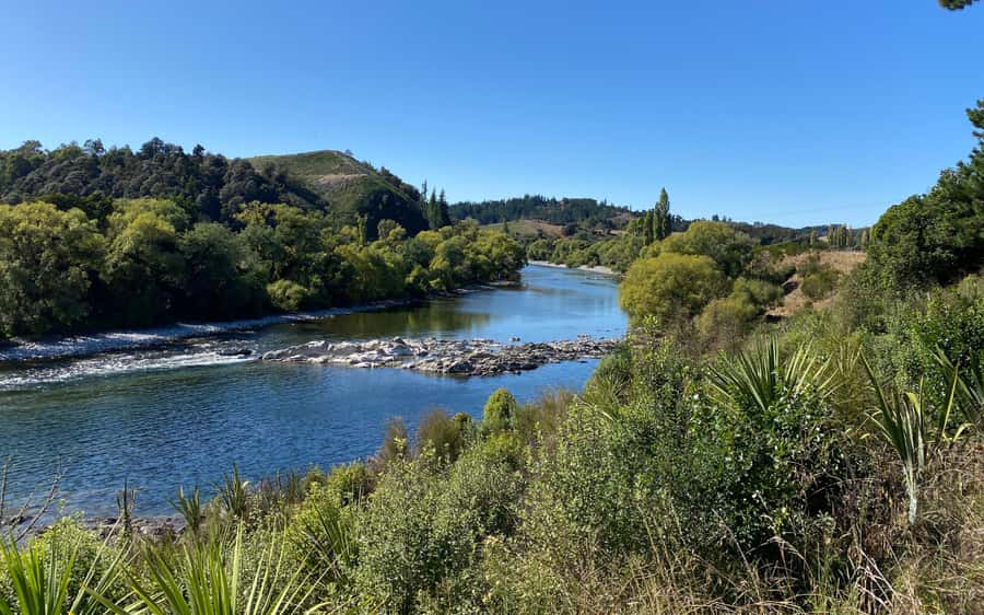 Nelson to Mapua: Full-Day Cycling Self-Guided Adventure - Price and value: what you’re paying for at $77 per person