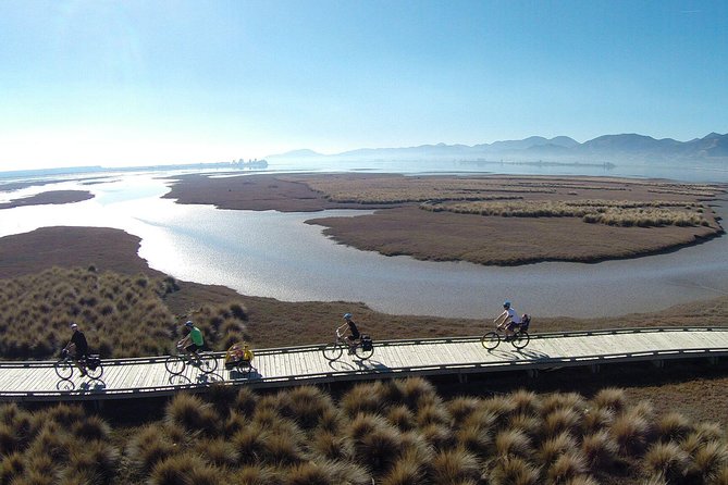 Nelson to Mapua: Full-Day Self-Guided Cycling Adventure - Quick Hits: What Makes This Nelson to Mapua Ride Worth Your Time