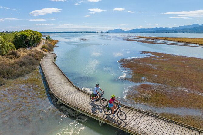 Nelson to Mapua: Full-Day Self-Guided Cycling Adventure - Price and value: what $80.05 buys you