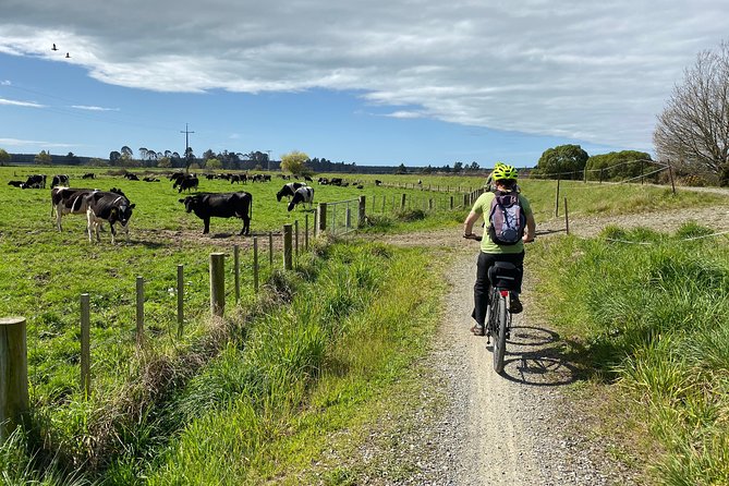 Nelson to Mapua: Full-Day Self-Guided Cycling Adventure - Timing, duration, and group size: what to expect