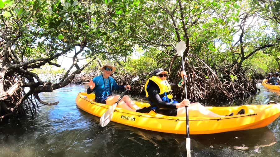 Noosa Heads: Hidden Waterways Wildlife Kayak (Self-Guided) - Self-guided with real guidance: Map, bird sheet, and fact sheet