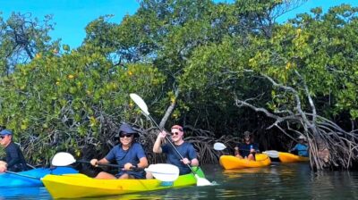 Noosa Heads: Hidden Waterways Wildlife Kayak (Self-Guided) - Starting at Weyba Esplanade: Finding the launch spot without stress