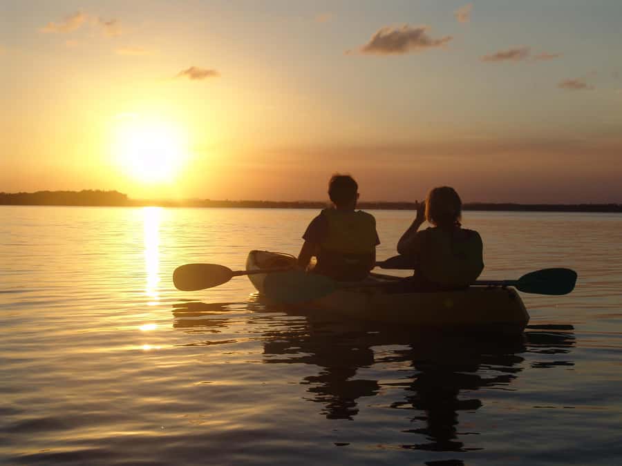 Noosa Heads: Hidden Waterways Wildlife Kayak (Self-Guided) - What you’ll actually see: birds, stingrays, and mangrove wildlife behavior
