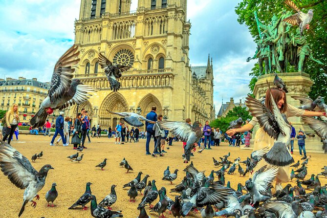 Notre-Dame Cathedral Tour with Audioguide (no ticket) - Price and Value: why $8.46 can make sense here