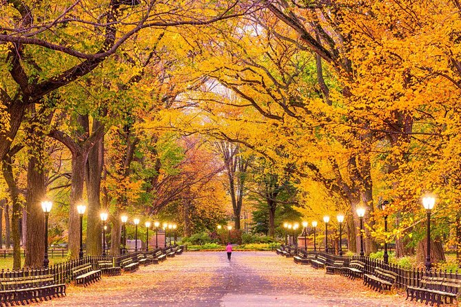 NYC Central Park Self-Guided Walking Tour - Key things to know before you start
