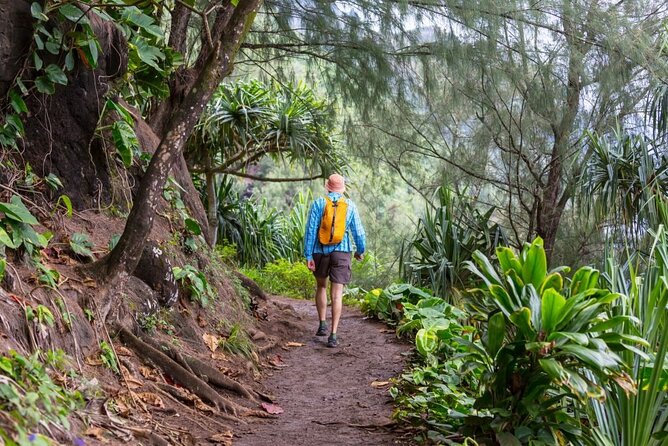 Oahu's North Shore Self-Guided Audio Tour - Quick take: what makes this North Shore drive work