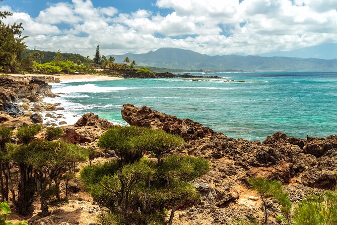 Oahu's North Shore Self-Guided Audio Tour - Practical fixes that can save your day
