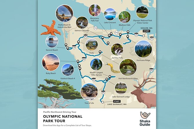 Olympic National Park Self-Guided Audio Tour - Heart O the Hills to Strait of Juan de Fuca: old growth and big water views