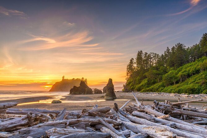 Olympic National Park Self-Guided Driving Audio Tour - Key highlights worth planning around