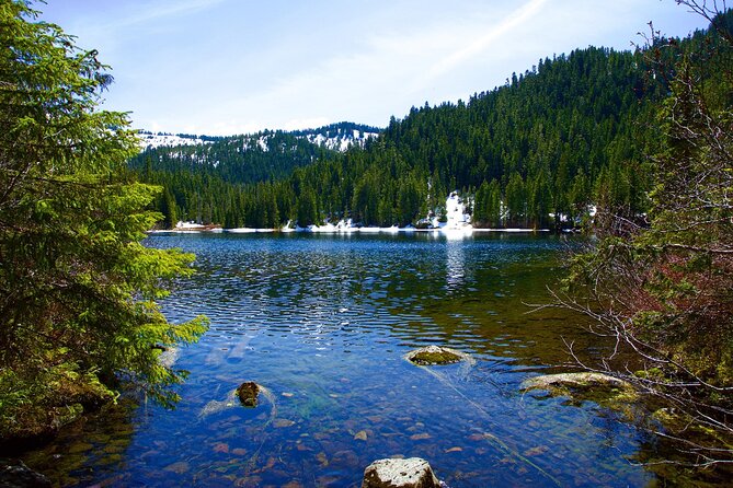 Olympic National Park Self-Guided Driving Audio Tour - Starting at the Olympic National Park Visitor Center: good orientation, easy first win